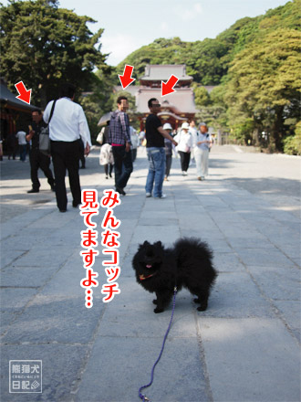 なぜか注目を浴びる・・・