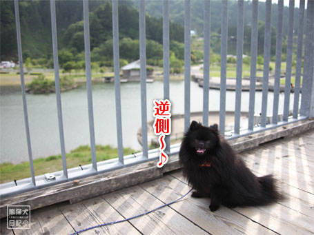 20110607_吊橋にて3