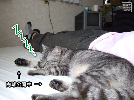 20110616_眠り猫5