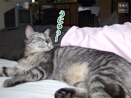 20110616_眠り猫10