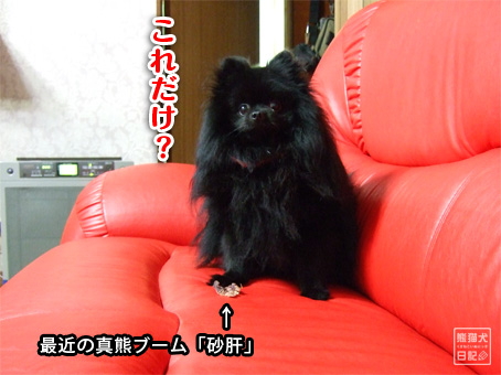 20110622_腰砕け猫7