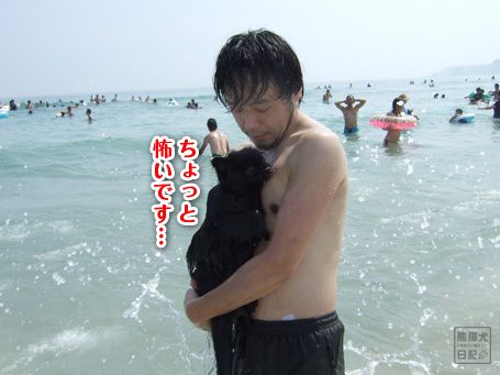 20110819_犬かき練習7