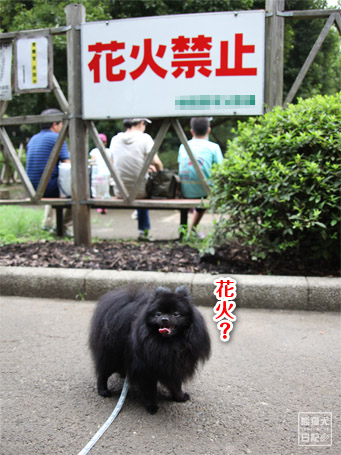 20110901_花火禁止の公園3