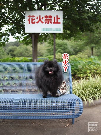 20110901_花火禁止の公園2