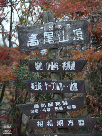 20111208_高尾山の頂上12