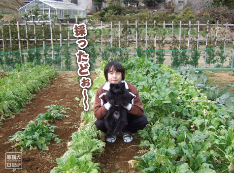 20120107_無農薬野菜4