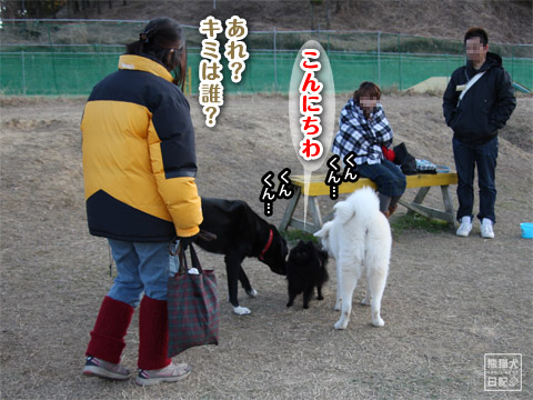 20120110_小型犬エリア7