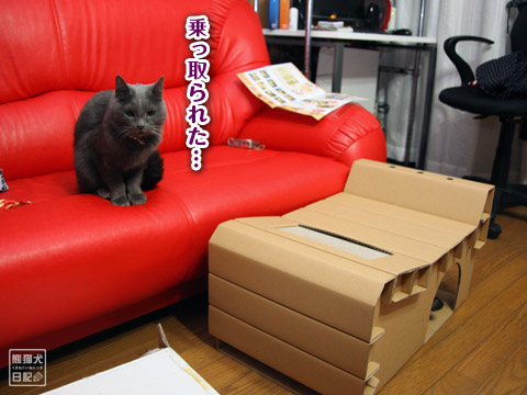 20120112_猫への贈り物12
