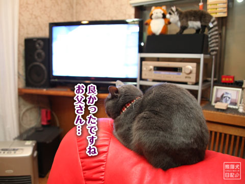 20120116_液晶テレビ10
