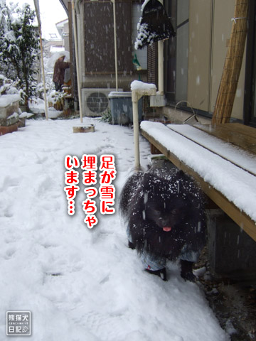 20120301_大雪4