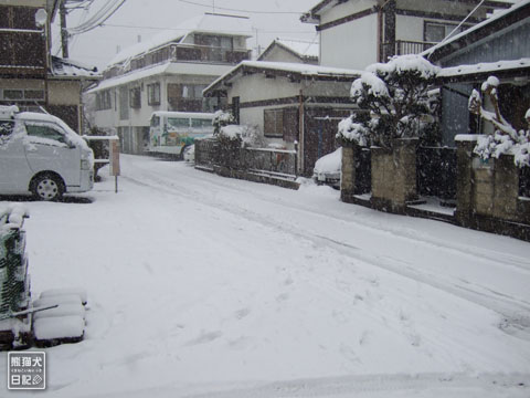 20120301_大雪1