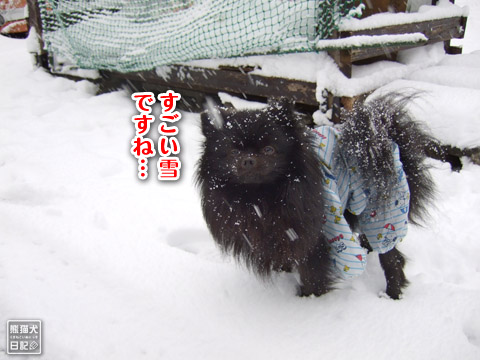 20120301_大雪2