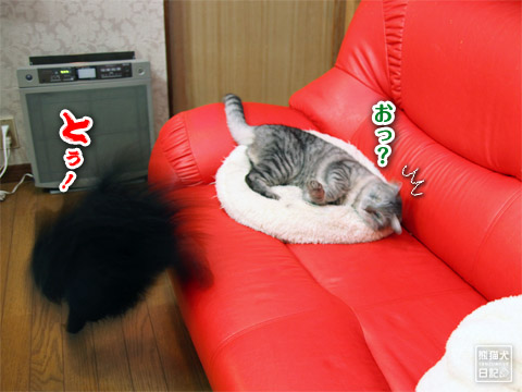20120308_安眠妨害4
