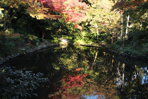 鶴岡八幡宮の池に映る紅葉