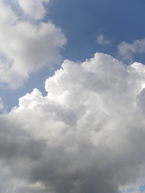 ジンセイハフリースタイル         : タマゴ雲でゲリラ豪雨を予測する