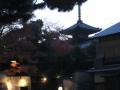 IMG_1506 (640x480)