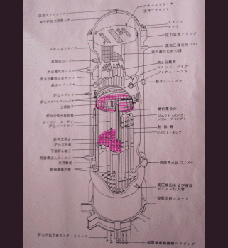 NuclearreactorMynewsJapan.gif