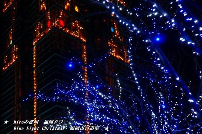 hiroの部屋　福岡のイルミネーション　福岡タワー　Blue Light Christmas　福岡市百道浜