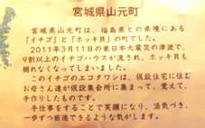DSCF8966.jpg
