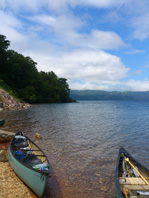 DSC_3773.jpg