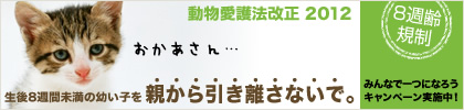 ８週齢みんなで一つになろうキャンペーン！に参加しています。