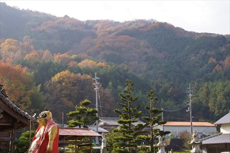熊野神社５