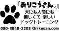 orikosan-logo1.jpg