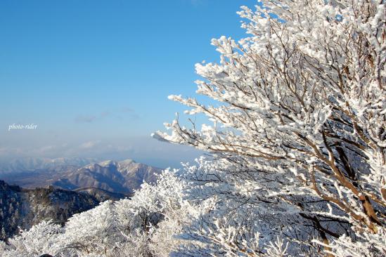 樹氷と鎌ヶ岳2