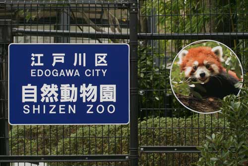 4月の江戸川Zoo1