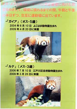 5月の王子動物園の看板