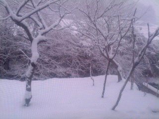 雪景色１