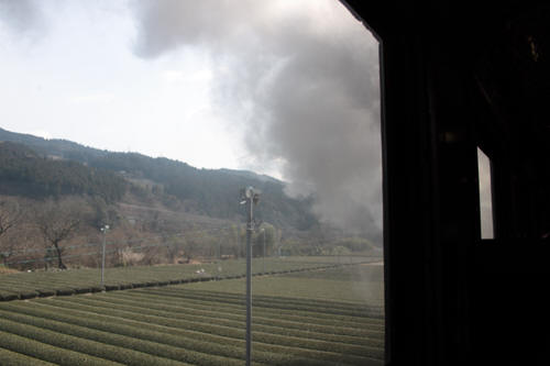 車窓の茶畑と煙