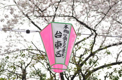 墨田公園桜祭り18