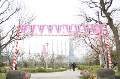 墨田公園桜祭り19