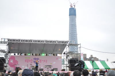 墨田公園桜祭り22