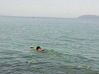 琵琶湖カヌー4