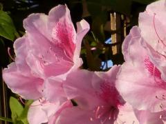 20110424001