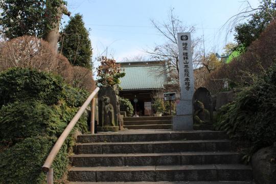松戸の本福寺０２