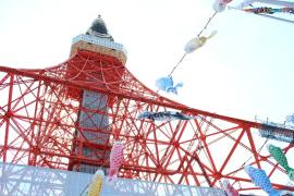 東京タワーとこいのぼり１１