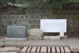 石神井城址跡とネコ０１