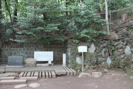 石神井城址跡とネコ０２