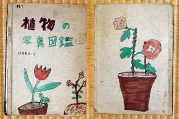 植物の写真図鑑（上） 表紙