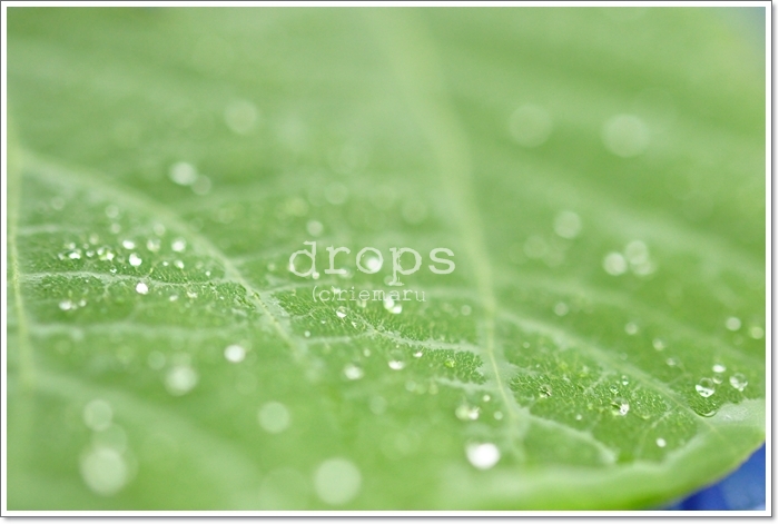 drops.jpg