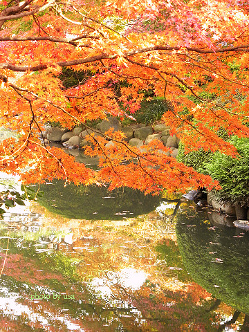 紅葉と池に映る景色