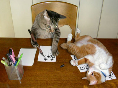 手紙を書く猫