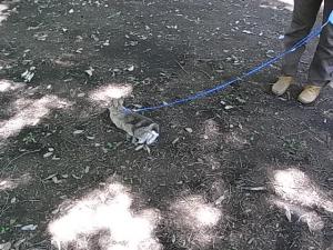 20100601 083
