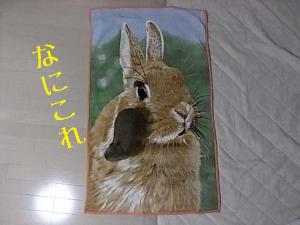 20100930-006.jpg