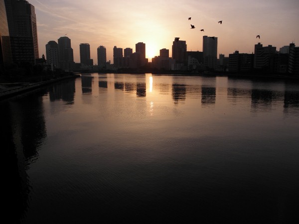 勝鬨橋からの日の出